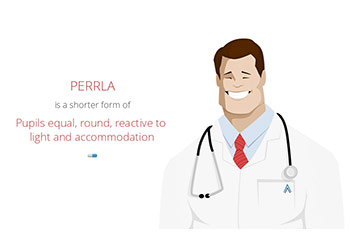 What Does Perrla Stand For?