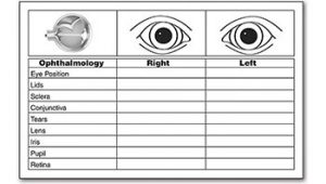 Eye Assessment Documentation