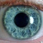 The Pupillary: Pupil Size Normal and Assessment