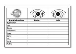 Eye Assessment Documentation