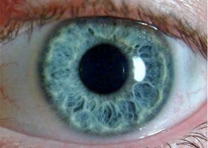 The Pupillary Pupil Size Normal and Assessment